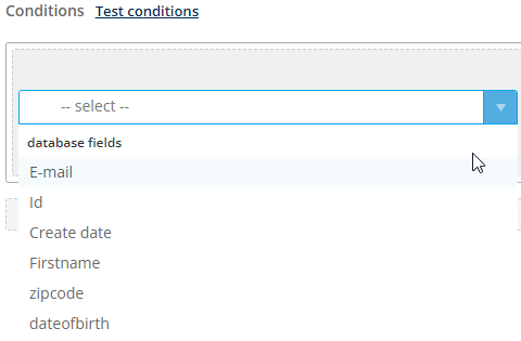 Conditions_EN.png