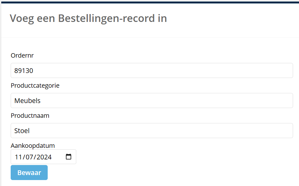 voorbeeld_handmatig_record_toevoegen.png